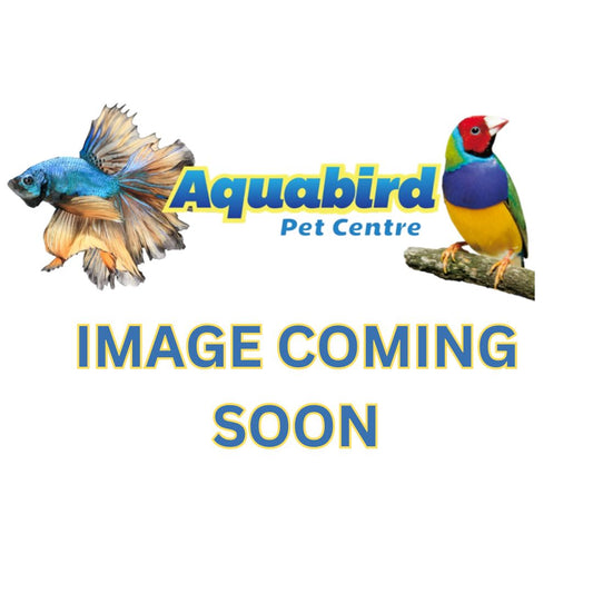 Gs Series Aquarium 51x25x80