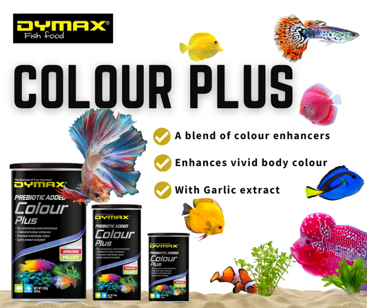 Dymax Colour Plus Small Pellets 60g
