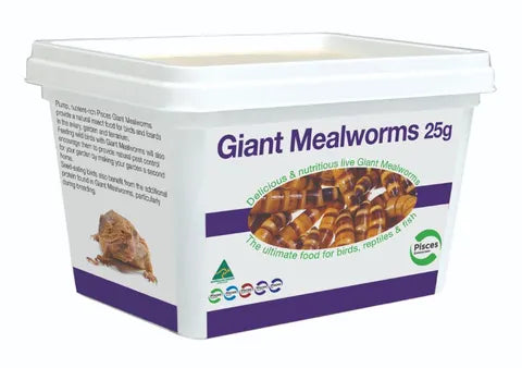 Pisces Giant Mealworms 25g Tub