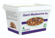 Pisces Giant Mealworms 25g Tub