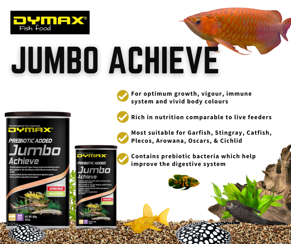 Dymax Jumbo Achieve 160g