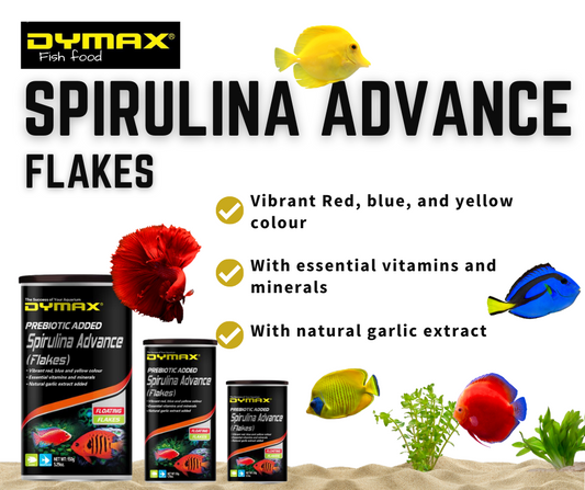 Dymax Spirulina Advance Flakes