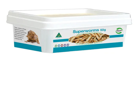 Superworms 50g