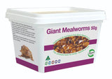 Pisces Gaint Mealworms 50g Tub