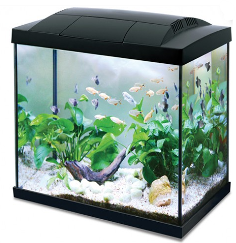 Hailea 2025 fish tank