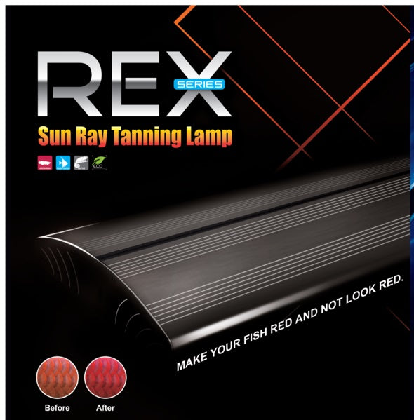 Dymax REX Sun Tanning Lamp 